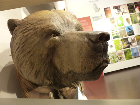 Schatzkammer Natur – 150 Jahre Bündner Naturmuseum